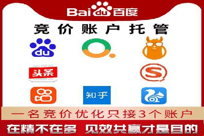 百度竞价排名服务：成功案例解析